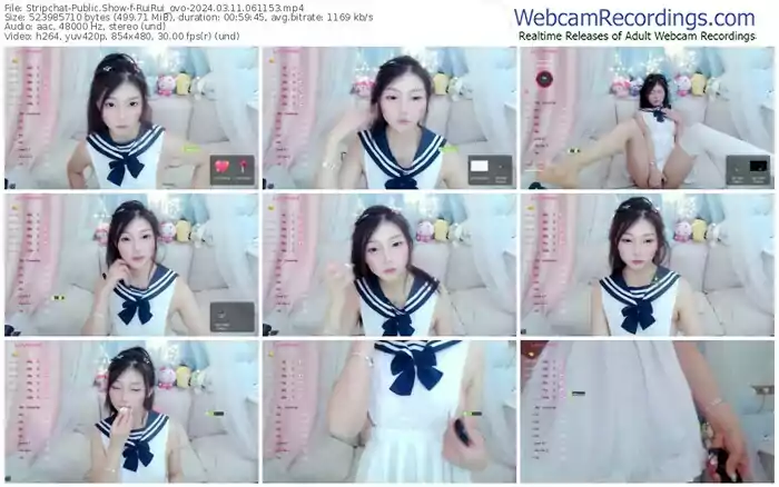 stripchat-ruirui_ovo-03-11-2024-06-11-53