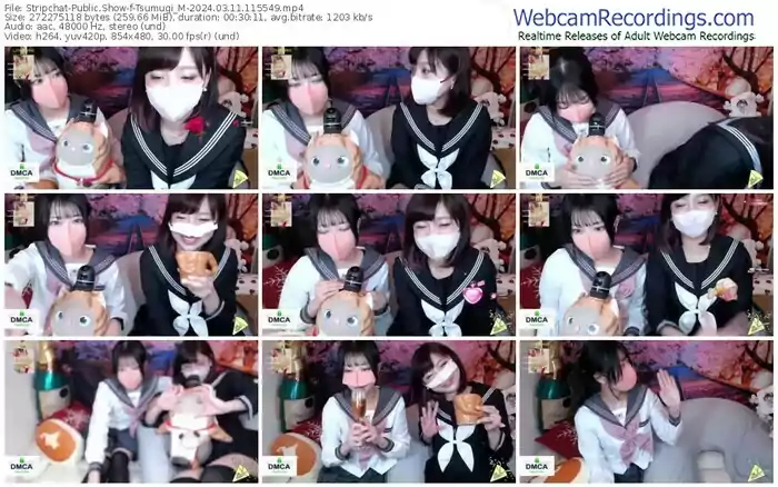 stripchat-tsumugi_m-03-11-2024-11-55-49