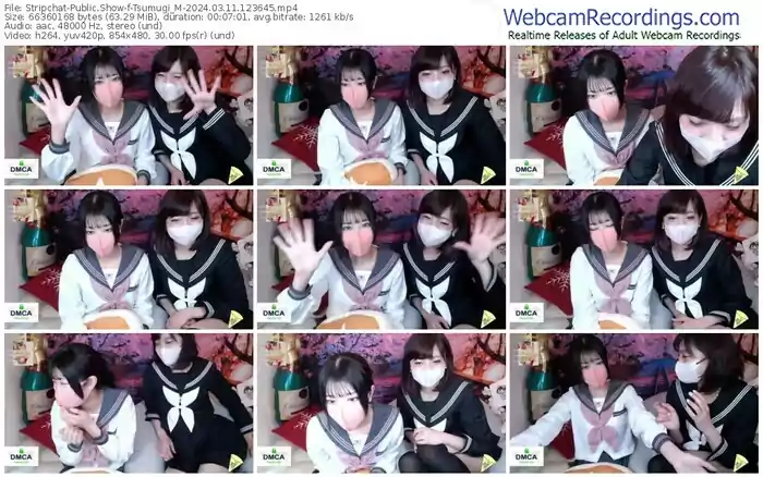 stripchat-tsumugi_m-03-11-2024-12-36-45