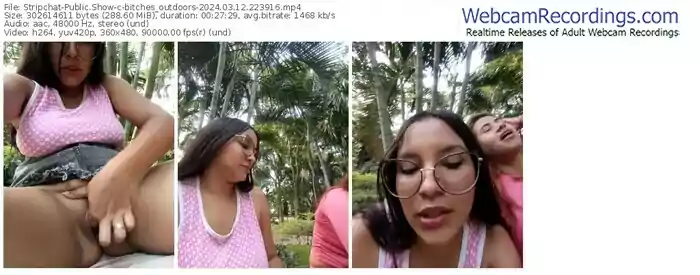 stripchat-bitches_outdoors-03-12-2024-22-39-16