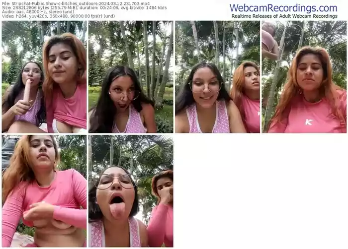 stripchat-bitches_outdoors-03-12-2024-23-17-03