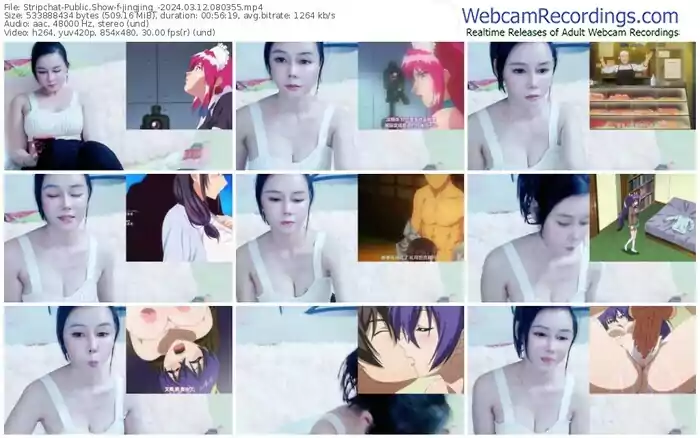 stripchat-jingjing_-03-12-2024-08-03-55