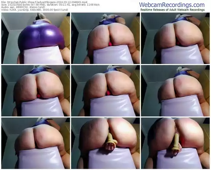 stripchat-ladywithbigass-03-12-2024-09-48-43