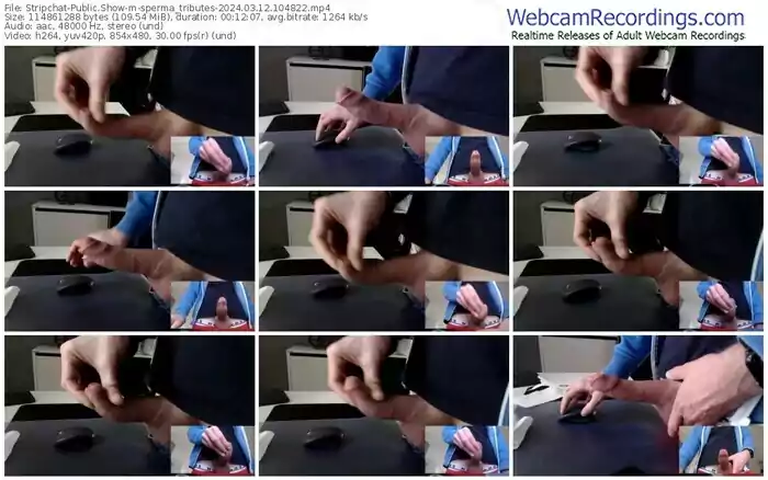 stripchat-sperma_tributes-03-12-2024-10-48-22