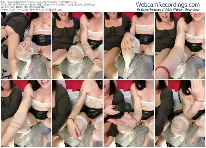 stripchat-bea_88-03-13-2024-00-31-00