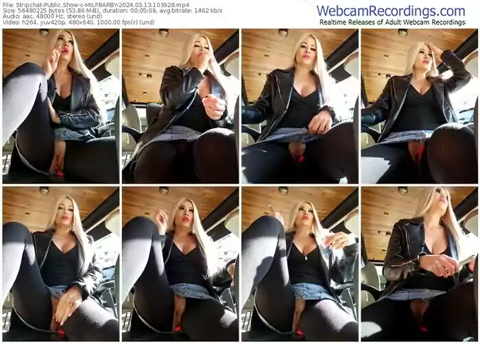 stripchat-milfbarby-03-13-2024-10-39-28