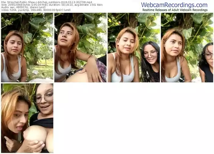 stripchat-bitches_outdoors-03-13-2024-20-27-08