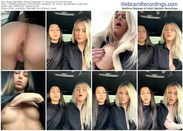 stripchat-aesthetic_v-03-13-2024-07-01-56