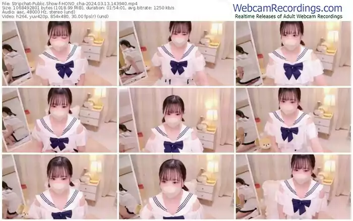 stripchat-hono_cha-03-13-2024-14-39-40