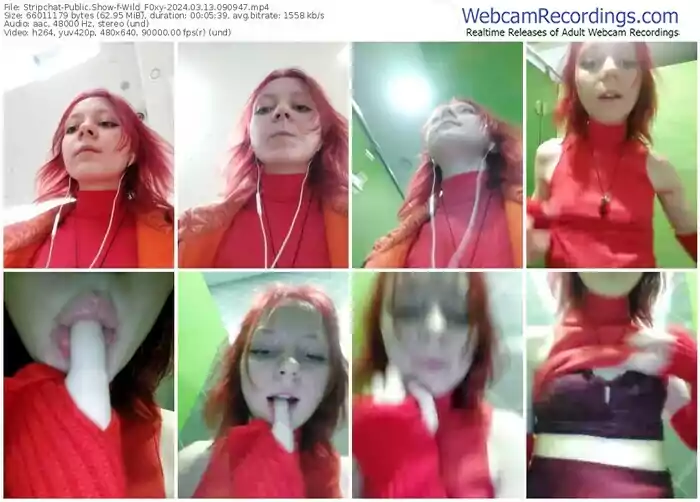 stripchat-wild_f0xy-03-13-2024-09-09-47