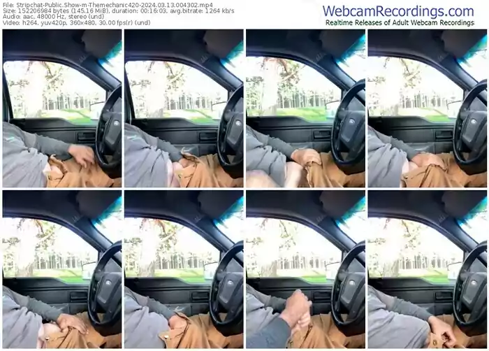 stripchat-themechanic420-03-13-2024-00-43-02