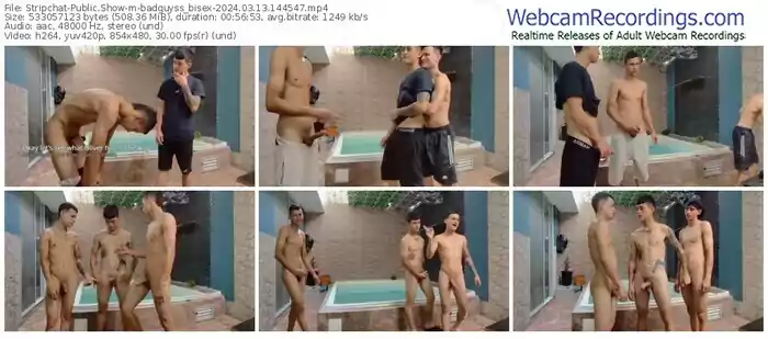 stripchat-badguyss_bisex-03-13-2024-14-45-47