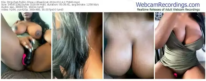 stripchat-blaackcat-03-14-2024-17-58-40