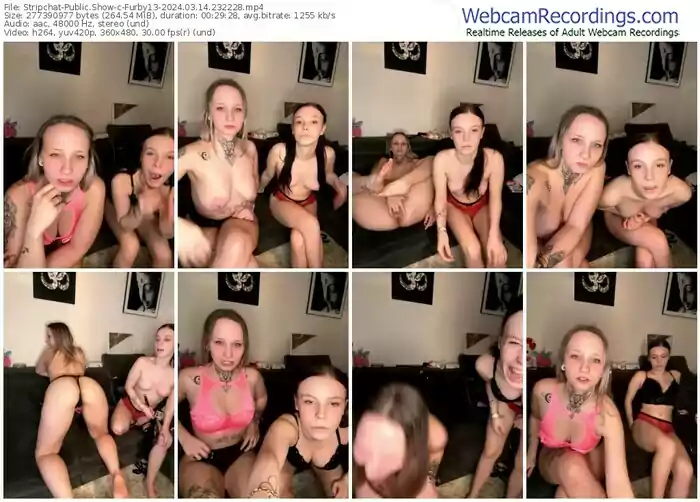 stripchat-furby13-03-14-2024-23-22-28