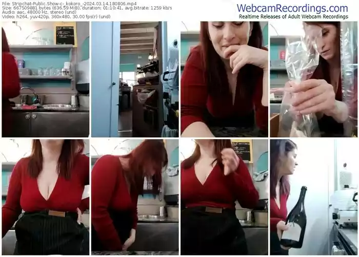 stripchat-_kokoro_-03-14-2024-18-08-06