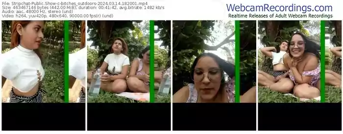 stripchat-bitches_outdoors-03-14-2024-18-20-01