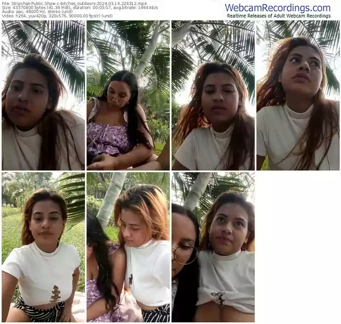 stripchat-bitches_outdoors-03-14-2024-22-43-12