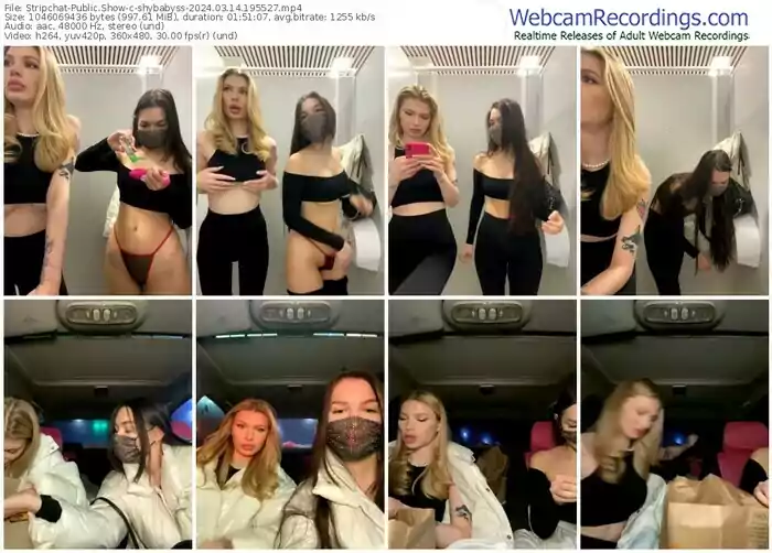 stripchat-shybabyss-03-14-2024-19-55-27