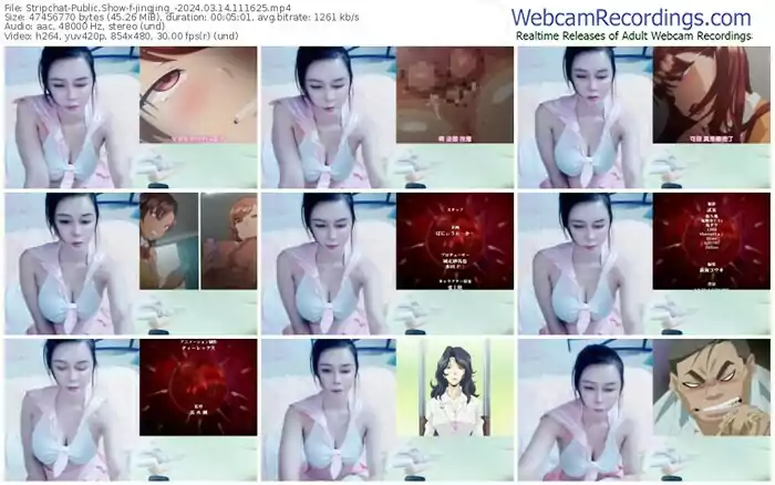 stripchat-jingjing_-03-14-2024-11-16-25