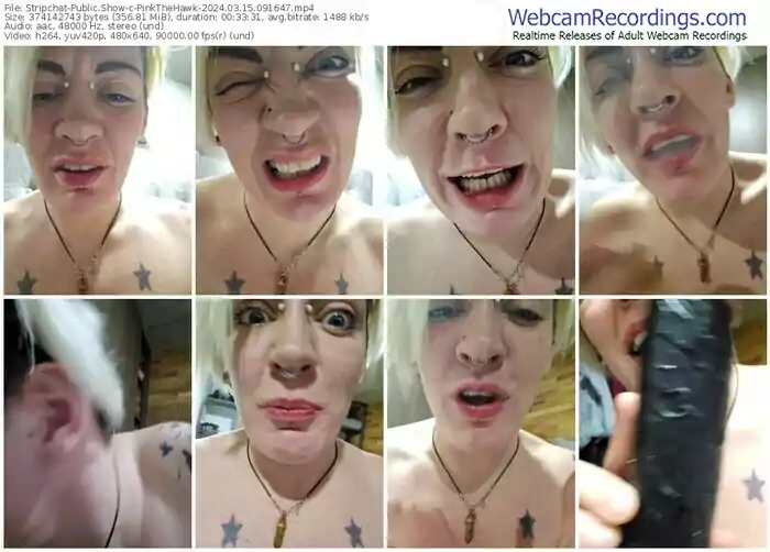 stripchat-pinkthehawk-03-15-2024-09-16-47