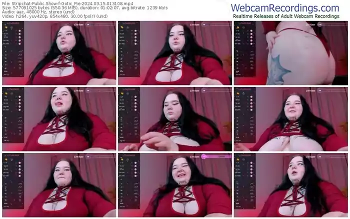 stripchat-gotic_pie-03-15-2024-01-31-08