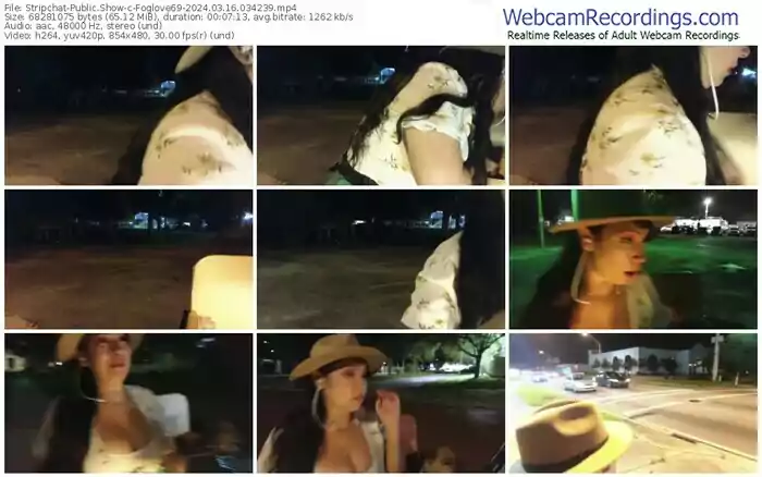 stripchat-foglove69-03-16-2024-03-42-39