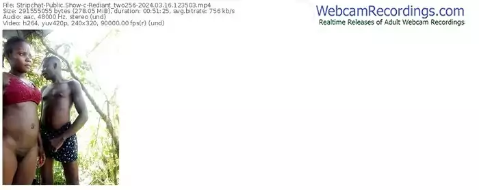 stripchat-rediant_two256-03-16-2024-12-35-03