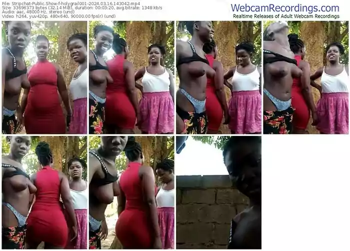 stripchat-holygrail001-03-16-2024-14-30-42