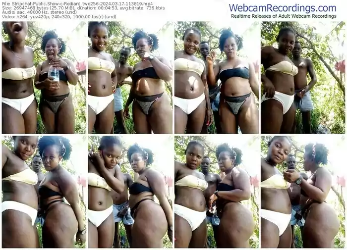 stripchat-rediant_two256-03-17-2024-11-38-19