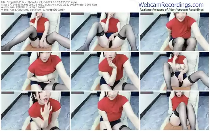 stripchat--linlin-03-17-2024-13-53-36