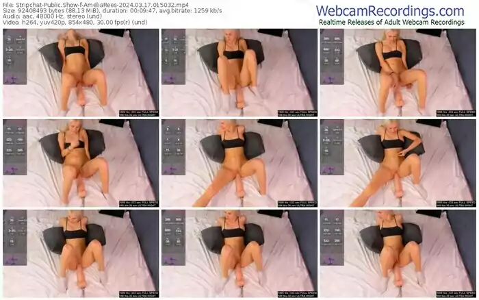 stripchat-ameliarees-03-17-2024-01-50-32