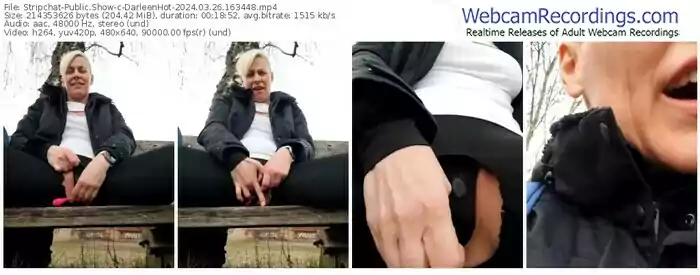 stripchat-darleenhot-03-26-2024-16-34-48
