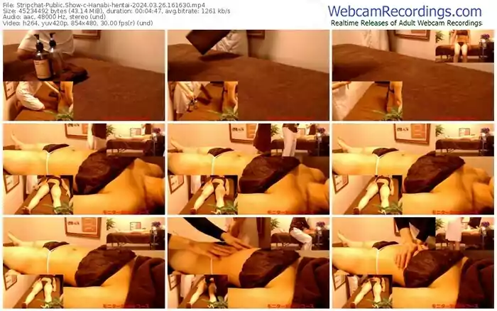 stripchat-hanabi-hentai-03-26-2024-16-16-30