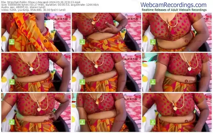 stripchat-novapol-03-26-2024-21-31-13