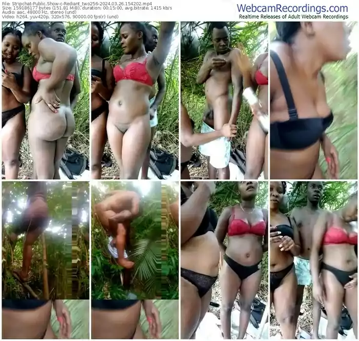 stripchat-rediant_two256-03-26-2024-15-42-02