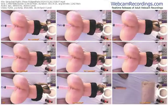 stripchat-edgedpale-03-26-2024-15-35-07