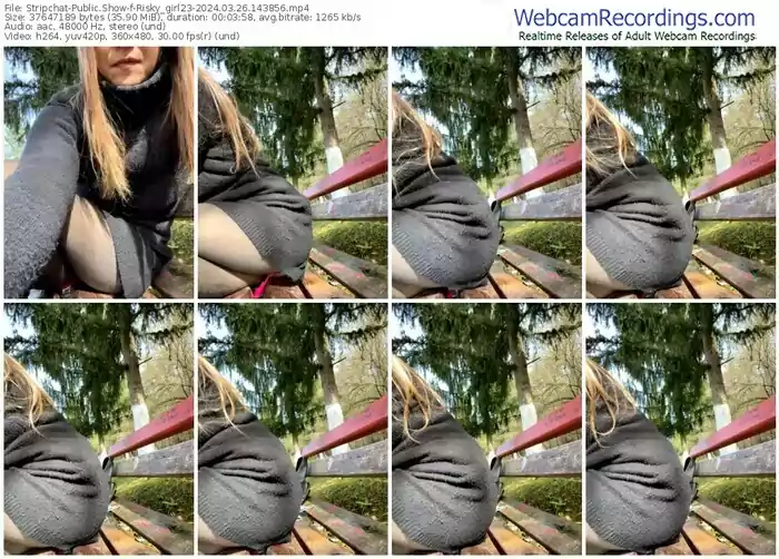 stripchat-risky_girl23-03-26-2024-14-38-56