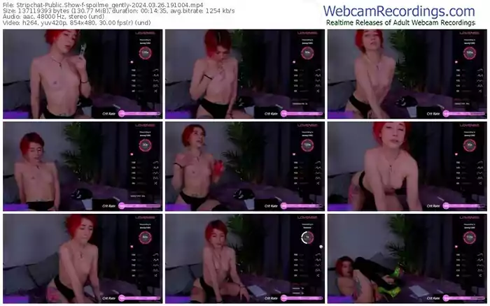 stripchat-spoilme_gently-03-26-2024-19-10-04