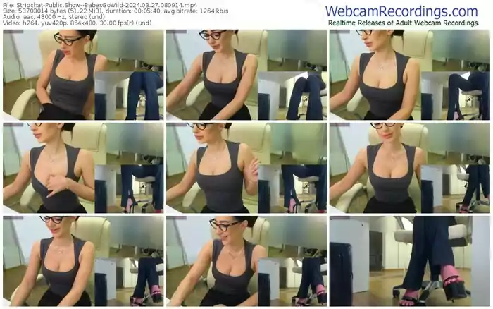 stripchat--babesgowild-03-27-2024-08-09-14