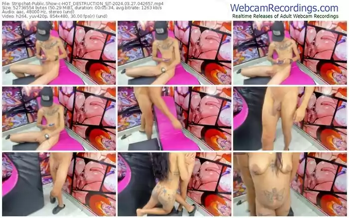 stripchat-hot_destruction_sjt-03-27-2024-04-26-57