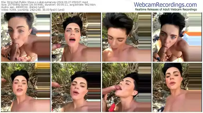 stripchat-lukelouharvey-03-27-2024-05-03-27