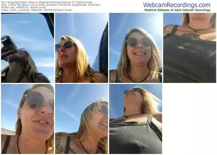 stripchat-sheissomething-03-27-2024-22-26-13