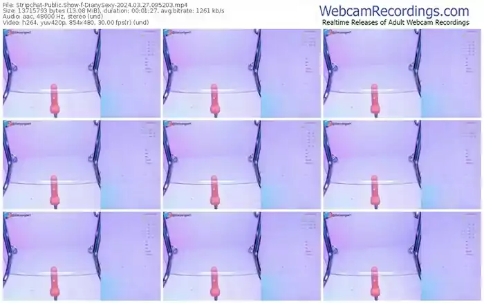 stripchat-dianysexy-03-27-2024-09-52-03