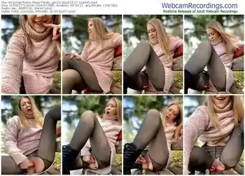 stripchat-risky_girl23-03-27-2024-12-46-45