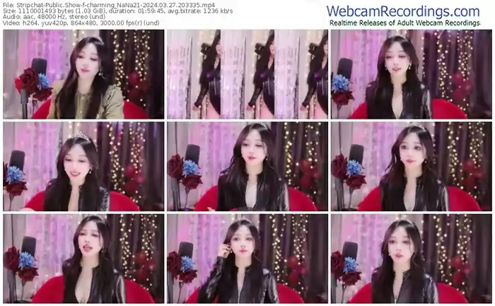 stripchat-charming_nana21-03-27-2024-20-33-35