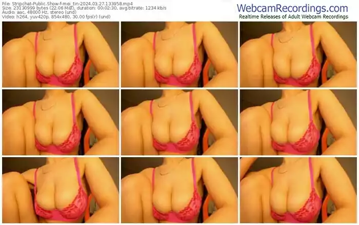 stripchat-mei_tin-03-27-2024-13-39-58