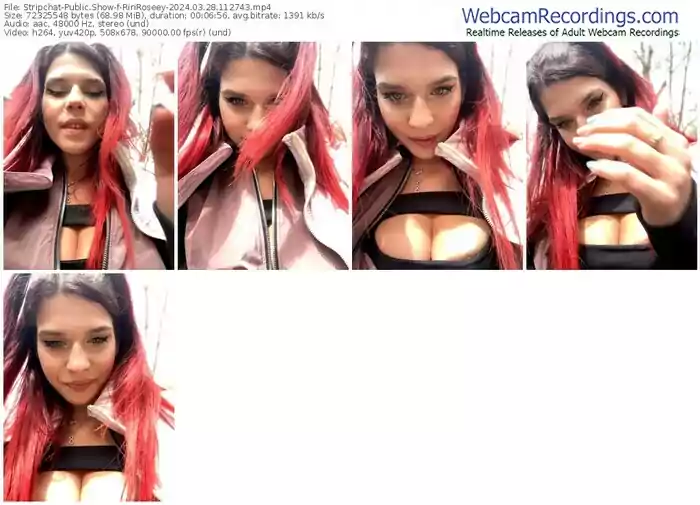 stripchat-ririroseey-03-28-2024-11-27-43