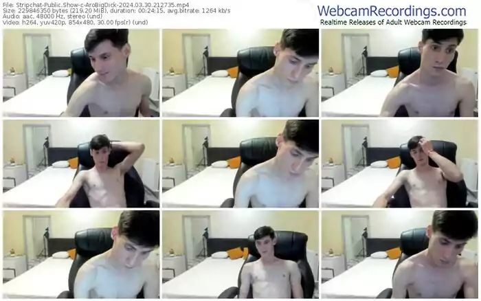 stripchat-arobigdick-03-30-2024-21-27-35