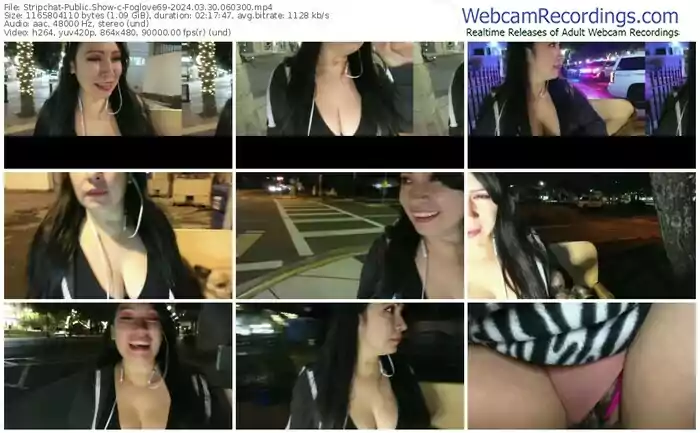 stripchat-foglove69-03-30-2024-06-03-00