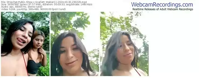 stripchat-scarlett_walker11-03-30-2024-23-02-29